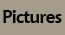 Pictures